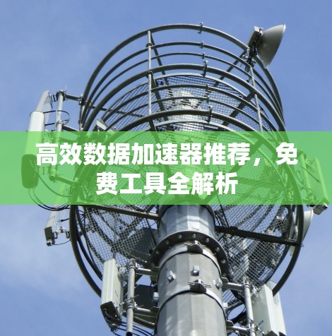 高效数据加速器推荐，免费工具全解析