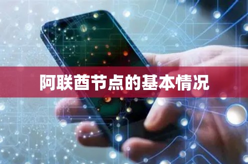 阿联酋节点的基本情况