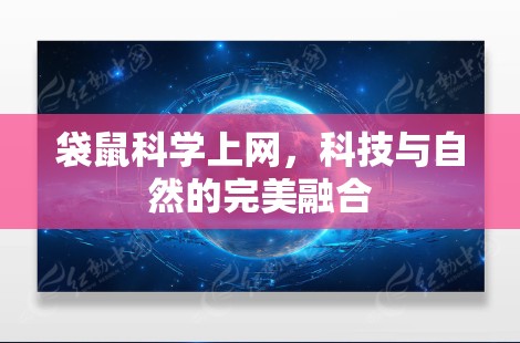 袋鼠科学上网,科技与自然的完美融合 袋鼠科学上网,科技与自然的完美融合