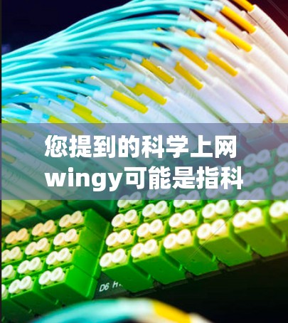 您提到的科学上网 wingy可能是指科学上网或wingy相关的某个工具、软件或术语。以下是一些可能的解释