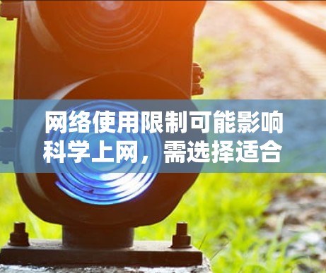 网络使用限制可能影响科学上网,需选择适合的用户。此外,韩国互联网普及程度较高,但科学上网服务的普及度因地区和研究需求而异 网络使用限制可能影响科学上网,需选择适合的用户。此外,韩国互联网普及程度较高,但科学上网服务的普及度因地区和研究需求而异