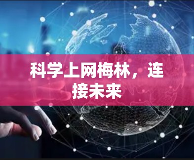 科学上网梅林,连接未来 科学上网梅林,连接未来