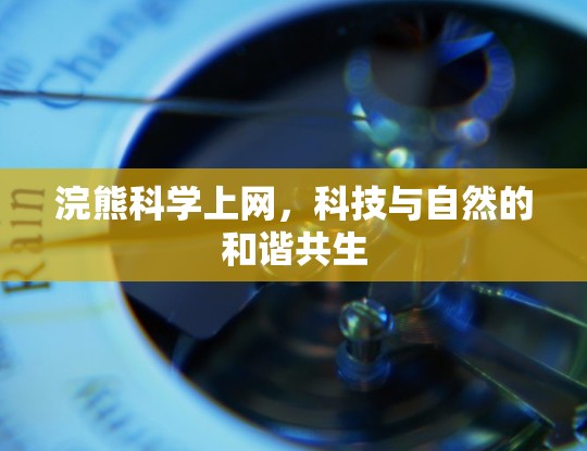 浣熊科学上网,科技与自然的和谐共生 浣熊科学上网,科技与自然的和谐共生