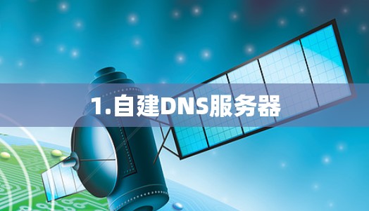 1.自建DNS服务器 1.自建DNS服务器