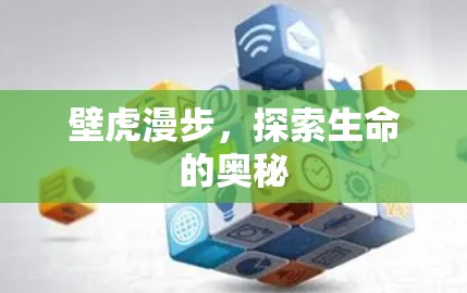 壁虎漫步,探索生命的奥秘 壁虎漫步,探索生命的奥秘