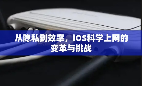 从隐私到效率,iOS科学上网的变革与挑战 从隐私到效率,iOS科学上网的变革与挑战