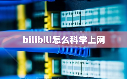 bilibili怎么科学上网 bilibili怎么科学上网