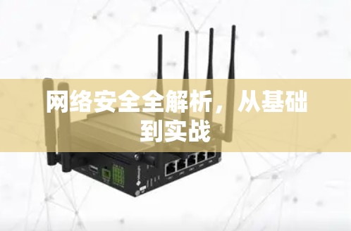 网络安全全解析,从基础到实战 网络安全全解析,从基础到实战
