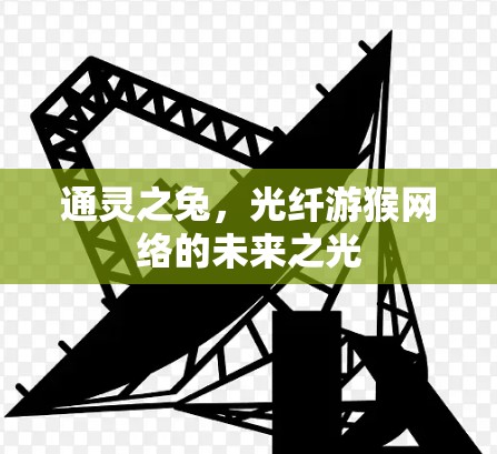 通灵之兔,光纤游猴网络的未来之光 通灵之兔,光纤游猴网络的未来之光