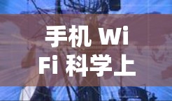 手机 WiFi 科学上网,你的 Wireless世界新发现 手机 WiFi 科学上网,你的 Wireless世界新发现