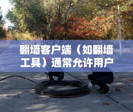 翻墙客户端（如翻墙工具）通常允许用户进行IP地址修改、防火墙规则设置等操作。如果用户希望更新翻墙客户端，通常需要通过以下步骤完成