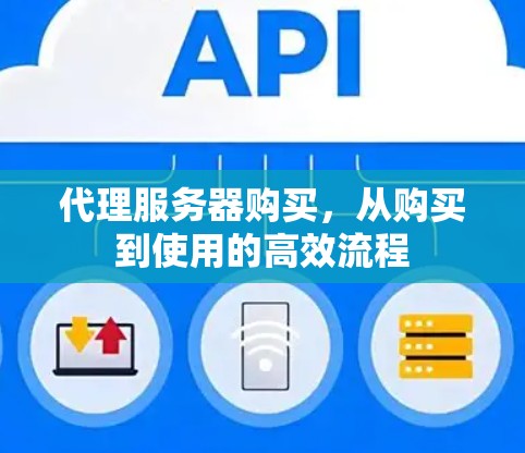 代理服务器购买,从购买到使用的高效流程 代理服务器购买,从购买到使用的高效流程