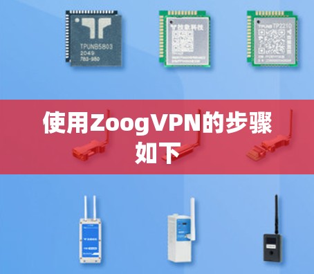 使用ZoogVPN的步骤如下 使用ZoogVPN的步骤如下