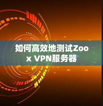 如何高效地测试Zoox VPN服务器