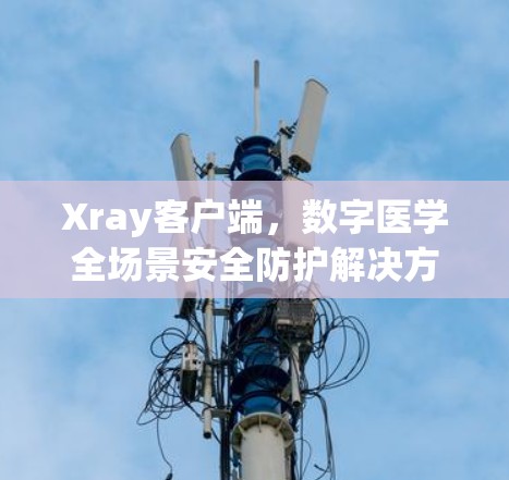 Xray客户端，数字医学全场景安全防护解决方案