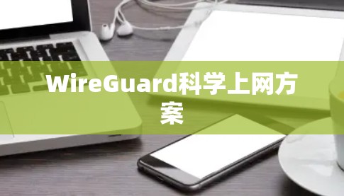 WireGuard科学上网方案