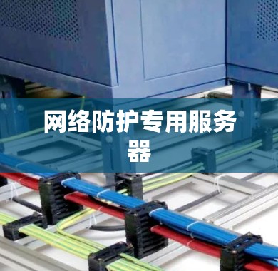 网络防护专用服务器 网络防护专用服务器