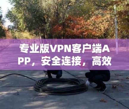 专业版VPN客户端APP,安全连接,高效传输的便捷出行 专业版VPN客户端APP,安全连接,高效传输的便捷出行