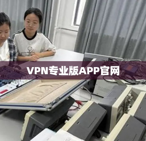 VPN专业版APP官网 VPN专业版APP官网