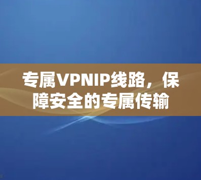 专属VPNIP线路，保障安全的专属传输之道