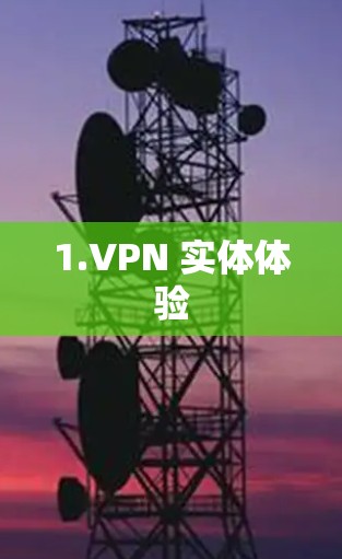 1.VPN 实体体验