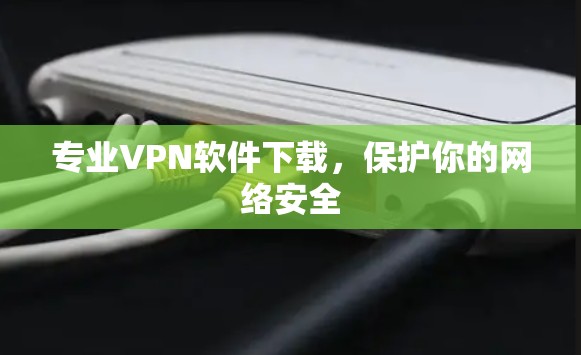 专业VPN软件下载，保护你的网络安全