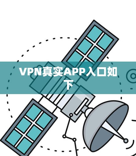VPN真实APP入口如下