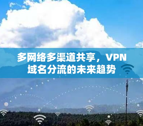 多网络多渠道共享,VPN域名分流的未来趋势 多网络多渠道共享,VPN域名分流的未来趋势