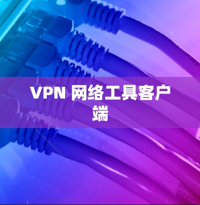 VPN 网络工具客户端