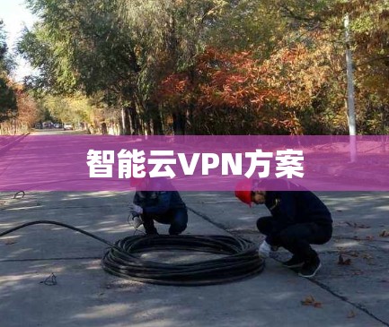 智能云VPN方案
