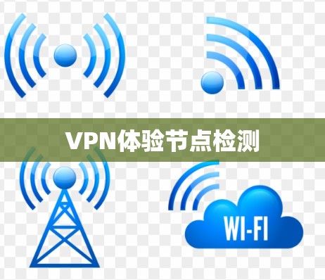 VPN体验节点检测