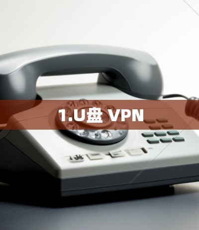 1.U盘 VPN