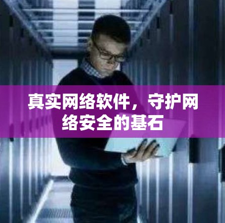 真实网络软件，守护网络安全的基石